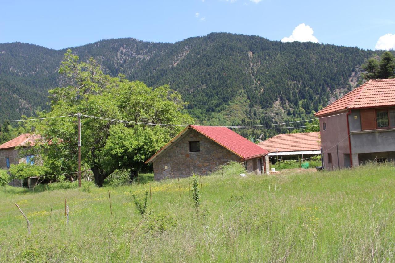 Hotel Elatou à Ano Chora Extérieur photo